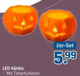 Rossmann LED Kürbis Angebot