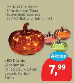 Budni LED Kürbis Glaslampe Angebot