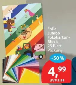 Budni Folia Jumbo Fotokarton-Block Angebot