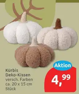 Budni Kürbis Deko-Kissen Angebot