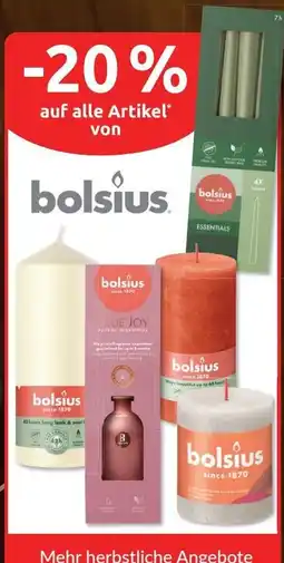 Budni bolsius Angebot
