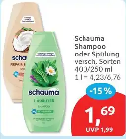 Budni Schauma 7 Kräuter Shampoo Angebot