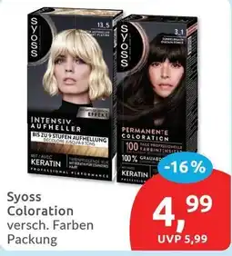 Budni Syoss Coloration Angebot