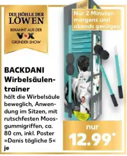 Kaufland BACKDANI Wirbelsäulentrainer Angebot