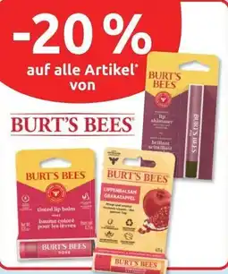 Budni BURT'S BEES Angebot