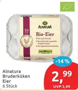 Budni Alnatura Bruderküken Eier Angebot
