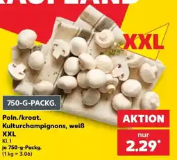 Kaufland Poln./kroat. Kulturchampignons, weiß Angebot