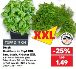 Kaufland Dtsch. Basilikum im Topf XXL Angebot