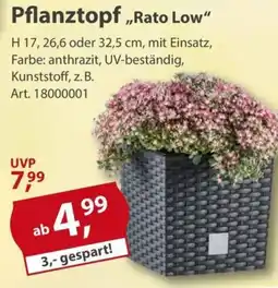 Sonderpreis Baumarkt Pflanztopf "Rato Low" Angebot