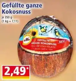 Norma Gefüllte ganze Kokosnuss Angebot