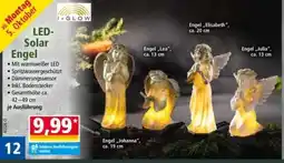 Norma LED-Solar Engel I-GLOW Angebot