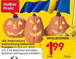 Rusta LED-Dekorationsbeleuchtung Halloween Pumpkin Angebot