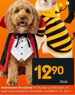Rusta Halloween-Kostüme Angebot