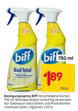 Rusta Reinigungsspray Biff Angebot