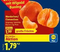 Lidl Mandarinen/ Clementinen Angebot