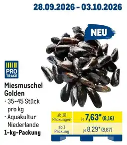 METRO Miesmuschel Golden Angebot