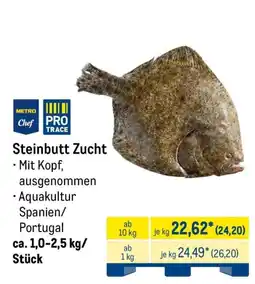 METRO Steinbutt Zucht Angebot