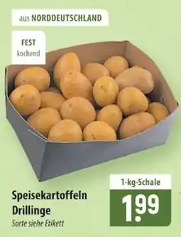 Famila Nord Ost Speisekartoffeln Drillinge Angebot