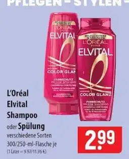 Famila Nord Ost L'Oréal Elvital Shampoo Angebot