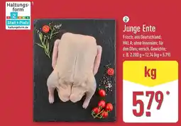 Aldi Nord Junge Ente Angebot