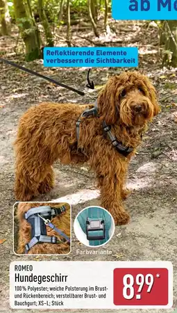 Aldi Nord ROMEO Hundegeschirr Angebot
