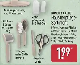 Aldi Nord ROMEO & CACHET Haustierpflege-Sortiment Angebot