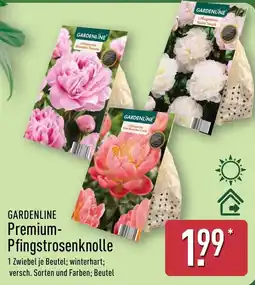Aldi Nord GARDENLINE Premium-Pfingstrosenknolle Angebot