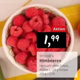 KONSUM Driscoll's Himbeeren Angebot