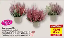 toom Baumarkt Garden Girls Knospenheide Angebot
