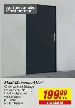 toom Baumarkt Stahl-Mehrzwecktür Angebot