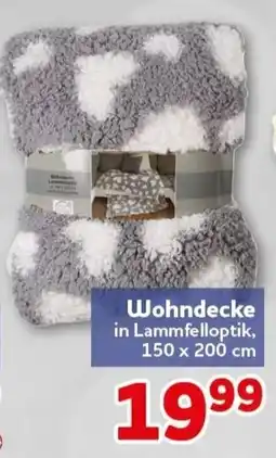 CENTERSHOP Wohndecke in Lammfelloptik Angebot