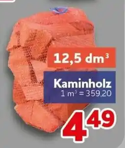 CENTERSHOP Kaminholz Angebot