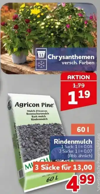 CENTERSHOP Agricon Pine Rindenmulch Angebot