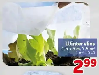 CENTERSHOP Wintervlies Angebot