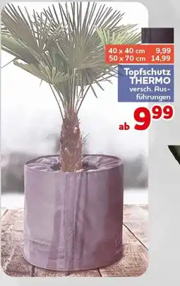 CENTERSHOP Topfschutz THERMO Angebot