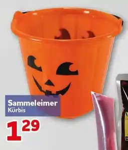 CENTERSHOP Sammeleimer Kürbis Angebot