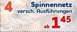 CENTERSHOP Spinnennetz Angebot