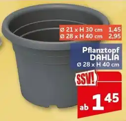 CENTERSHOP Pflanztopf DAHLIA Angebot