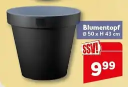 CENTERSHOP Blumentopf Angebot
