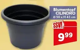 CENTERSHOP Blumentopf CILINDRO Angebot