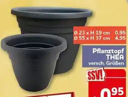 CENTERSHOP Pflanztopf THEA Angebot