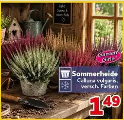 CENTERSHOP Garden Girls Sommerheide Angebot