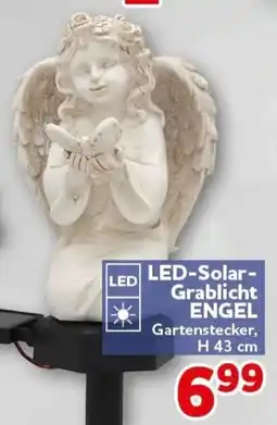 CENTERSHOP LED-Solar-Grablicht ENGEL Angebot