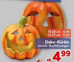 CENTERSHOP Deko-Kürbis Angebot