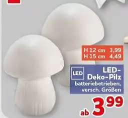 CENTERSHOP LED-Deko-Pilz Angebot