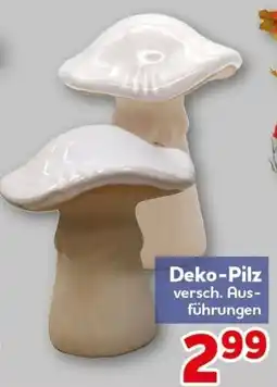CENTERSHOP Deko-Pilz Angebot