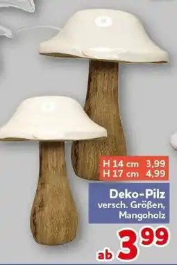 CENTERSHOP Deko-Pilz Angebot