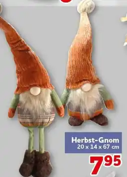 CENTERSHOP Herbst-Gnom Angebot