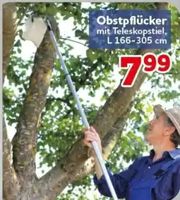 CENTERSHOP Obstpflücker mit Teleskopstiel Angebot