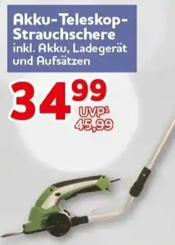 CENTERSHOP Akku-Teleskop-Strauchschere Angebot